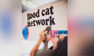 Good Cat Network