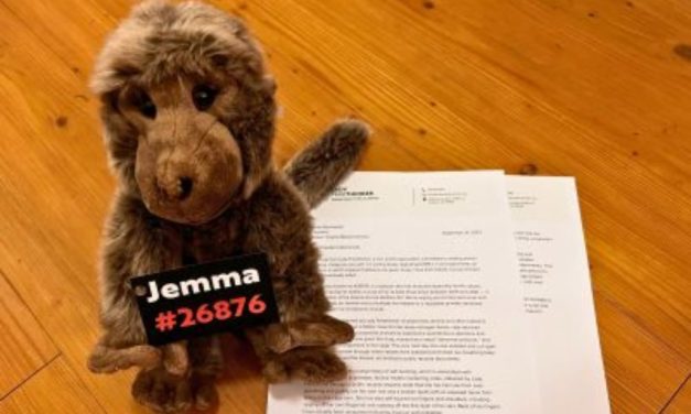 LFT Sends Plush Baboon and Letter to EVMS President in Protest of School’s Cruel Baboon Lab