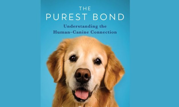 ‘The Purest Bond’ Takes Heartening Look at Human-Canine Connection