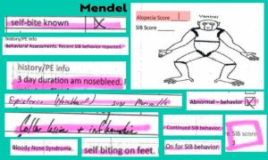 Mendel's records