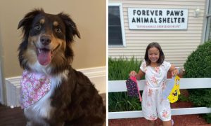 dog with bandana and photo of Malia