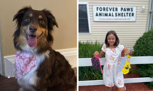 11-Year-Old Sews Dog Bandanas to Help Shelter Animals Find Forever Homes