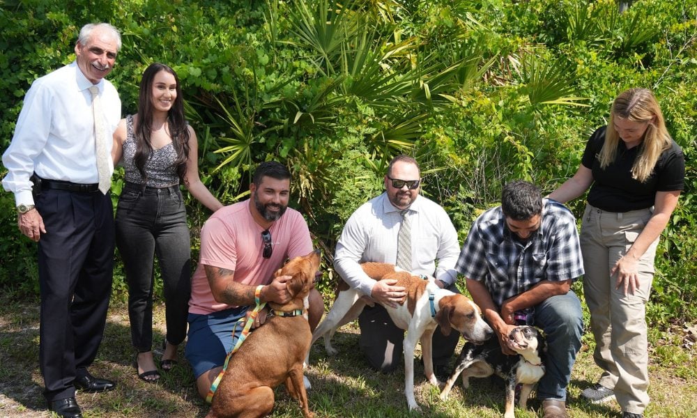 group photo of rescuers and adopted dogs