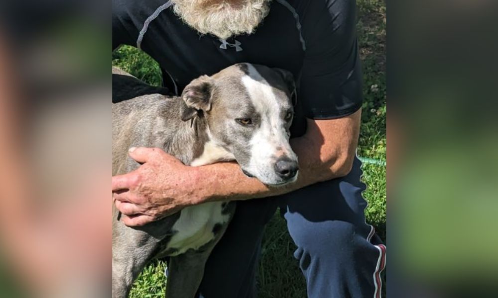 Blue the dog poses with guardian's arm wrapped around him
