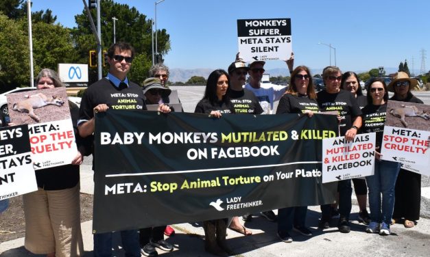 Lady Freethinker Protests Animal Torture on Facebook in Global Day of Action