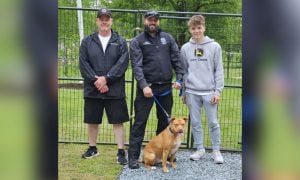 dog and scout in front of dog play area