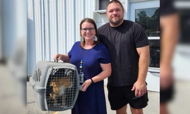 15-Year-Old Cat Returned Home After Two Years Missing