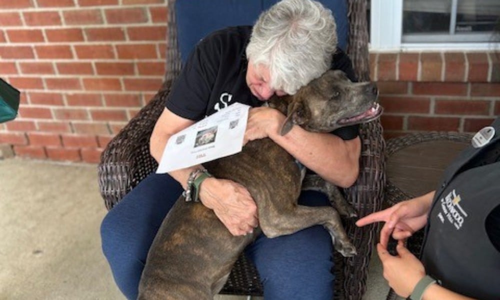 senior embraces grey-black dog