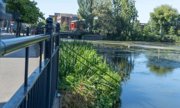 New ‘Floating Ecosystem’ on U.K. River Supports Native Plants, Pollinators, and Small Animals