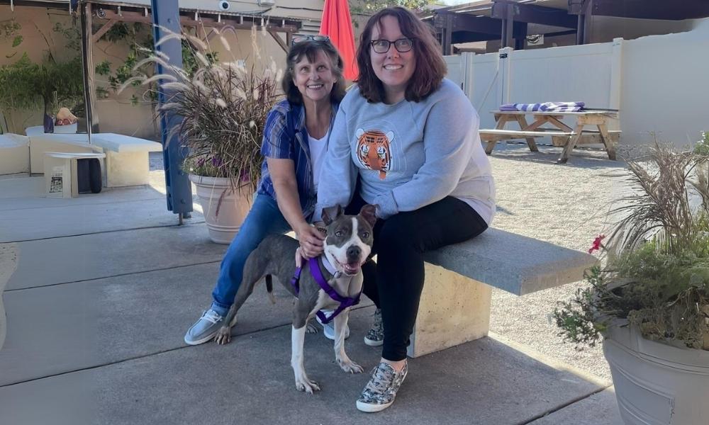 brown and white dog and two women