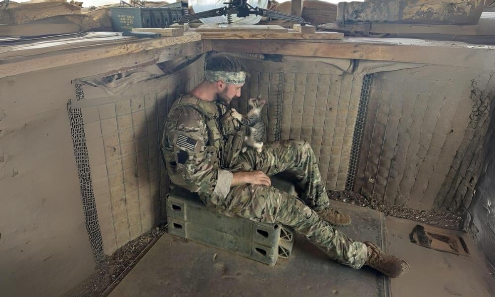 serviceman with kitten