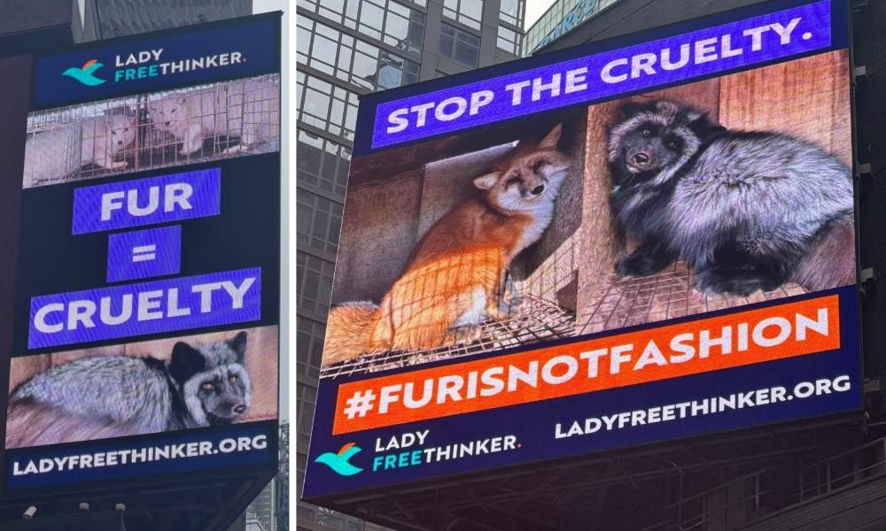 Lady Freethinker’s Times Square Billboard Shows Victims of the Fur Industry