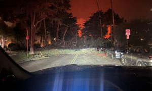 Road blocked by debris