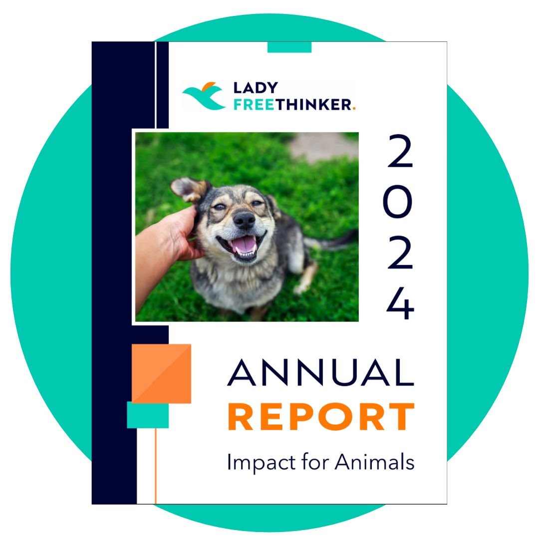 Cover image for 2023 impact report