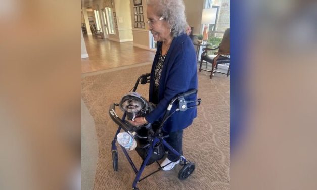 Stray Dog Adopted by Residents of Retirement Community