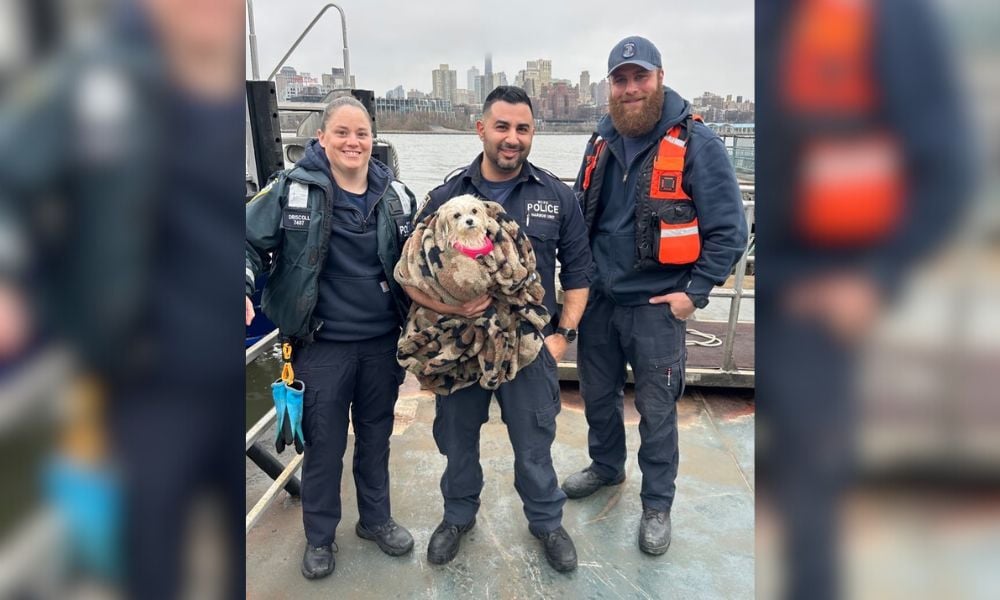 NYPD officers and Hudson