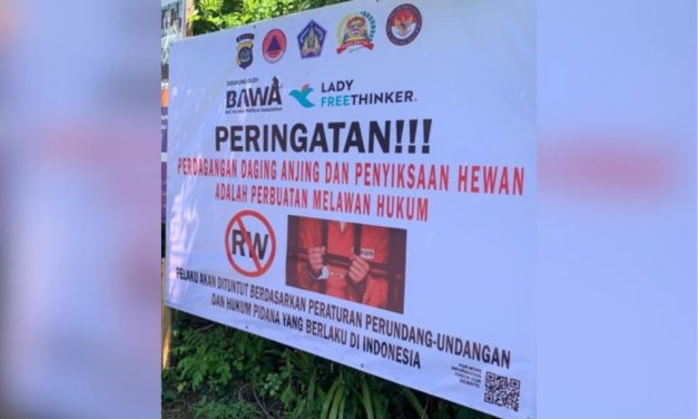 Lady Freethinker and Bali Animal Welfare Association Strengthen Efforts to End Bali’s Dog Meat Trade
