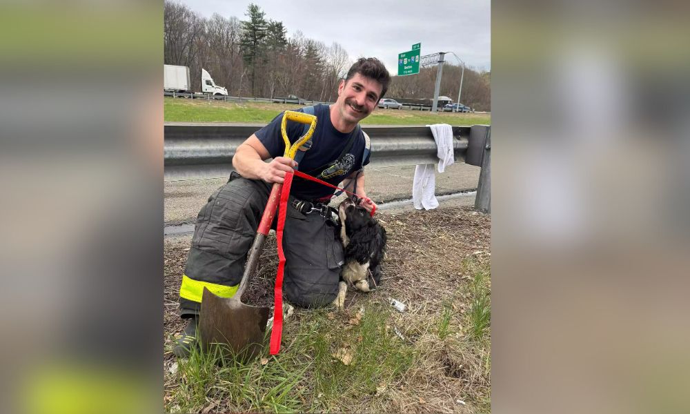 Fireman with black and white dog