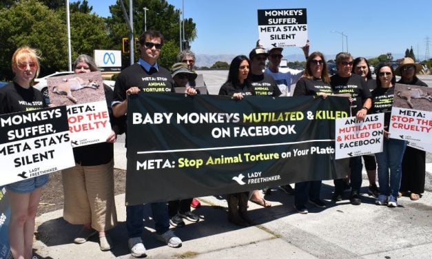 Have You Seen Cruelty to Animals on Social Media? Report It!