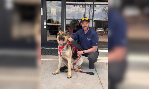 Dog Missing for a Year & Living at Abandoned Golf Course Finds Perfect, Adventurous Home With His Rescuer