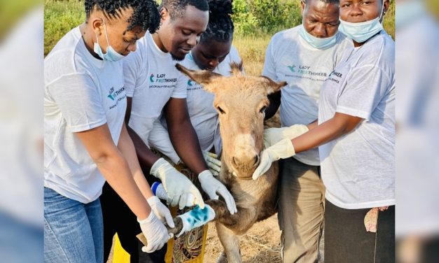 Lady Freethinker’s Support Brings Lifesaving Care to Donkeys After Devastating Tanzania Floods