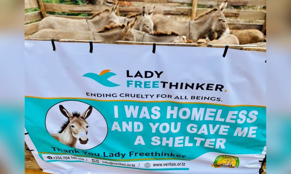 Donkeys by sign