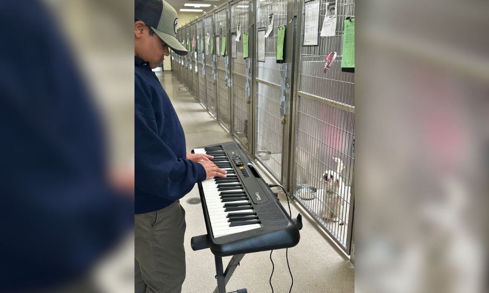 Young Boy’s Nonprofit Helps Calm Shelter Animals With Live Music