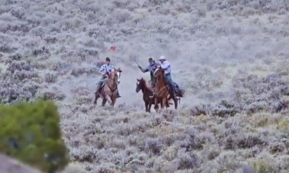 Three Men Surrounded a Lone Horse