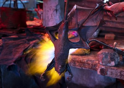 Bat being blowtorched