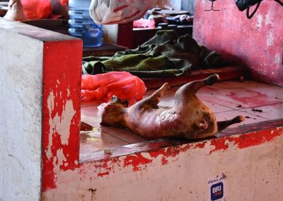 Dead dog on market table