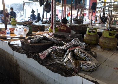 Dead pythons at market