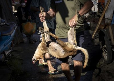 Dead dog meat market