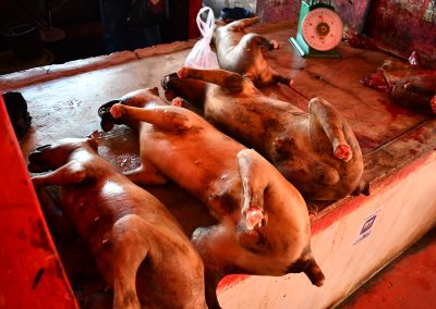 Cooked dogs N Sulawesi meat market