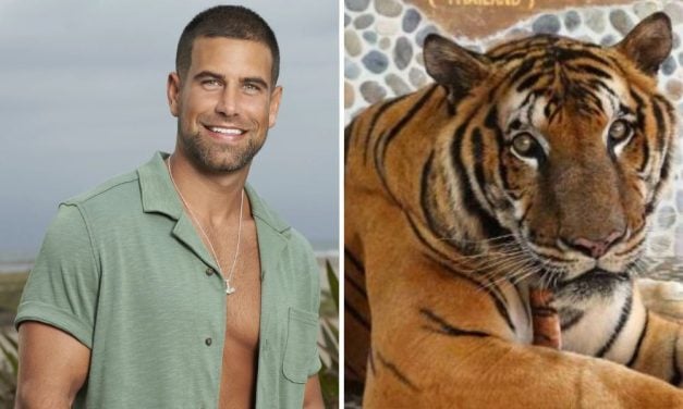 Lady Freethinker and ‘The Bachelorette’ Star Blake Moynes Expose Rampant Animal Cruelty in Thai Zoos