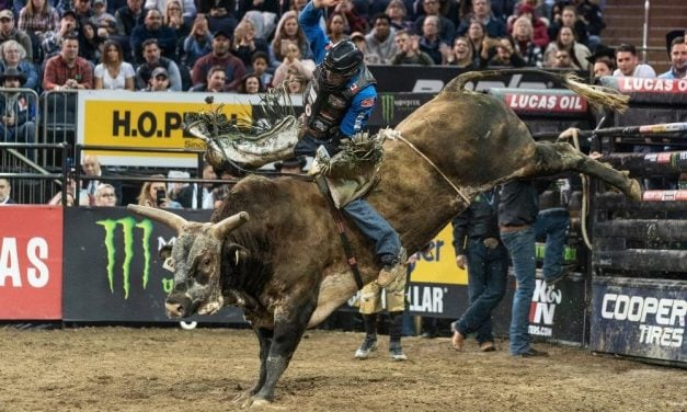 SIGN: Tell Boston to Stop Cruel Bull Riding Event and Permanently Ban Rodeos
