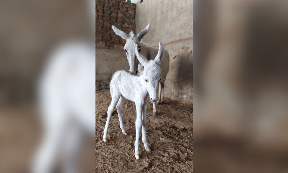 Raj Kumari and Shruti