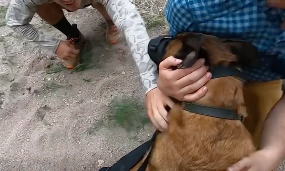 Dog is comforted by his human guardian as a rescue helicopter arrives