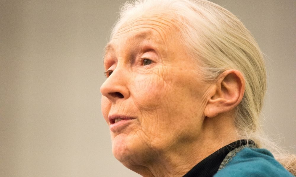Closeup of Jane Goodall