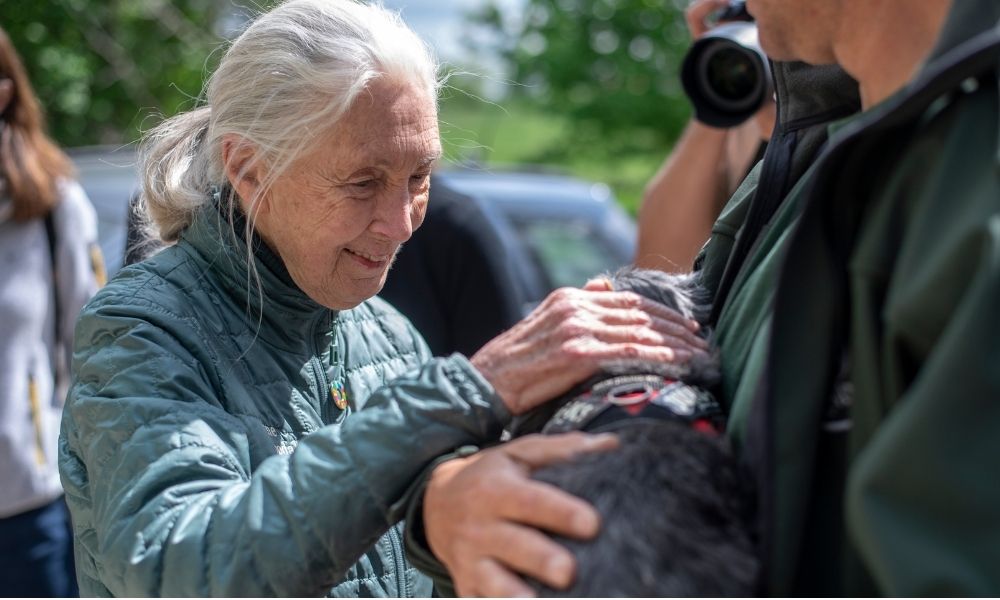 Jane Goodall smiling and petting a dog