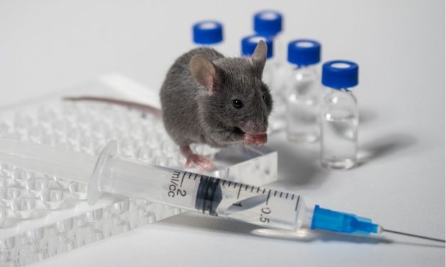Why Animal Testing Is Failing Humans and Animals