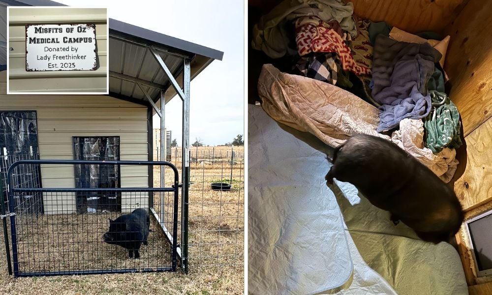 Moxon at the medical campus