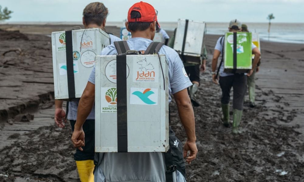 People walking with boxes on their backs