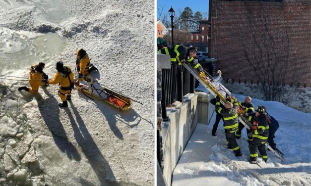 Firefighters Rescue Swan Frozen in Icy River