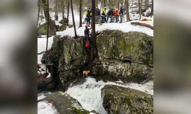 Pup Rescued After Falling 15 Feet Near Rushing Waterfall