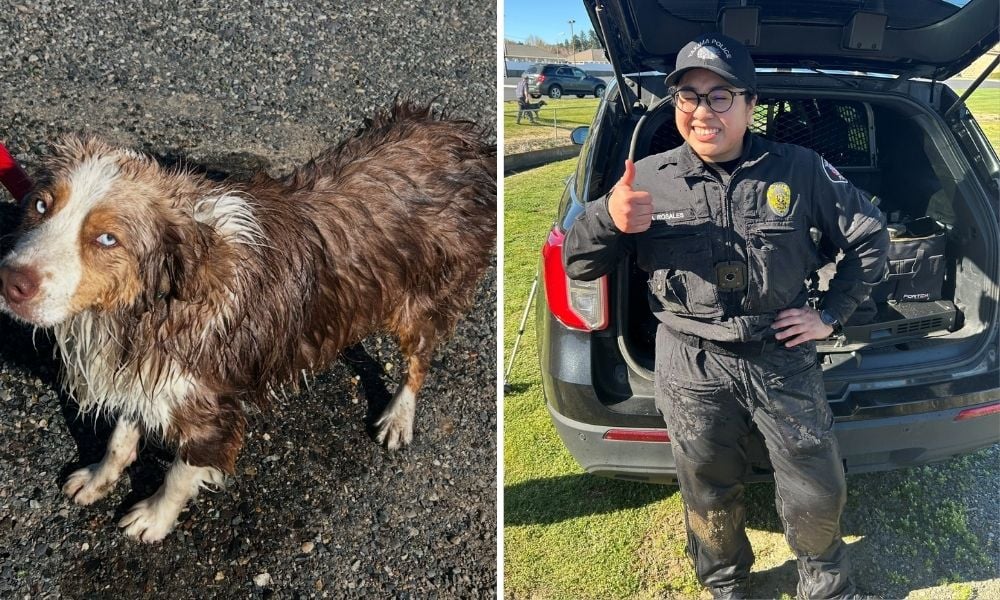 Rescued dog & officer