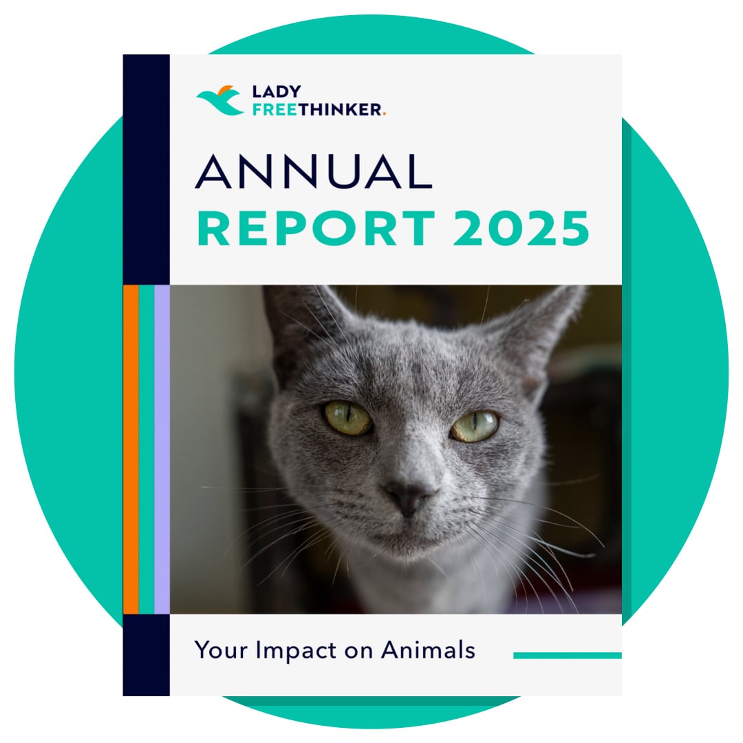 LFT Annual Report 2025 cover art with a gray cat featured