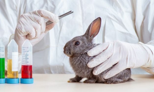 SIGN: Allow Dogs, Cats, & Other Animals Used in Cruel Experiments to Retire Instead of Being Killed