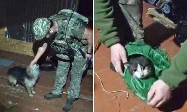Ukraine Troops Use Drone to Rescue Dog & Cat From Front Line of War