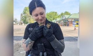 Officer holding rescued ducklings