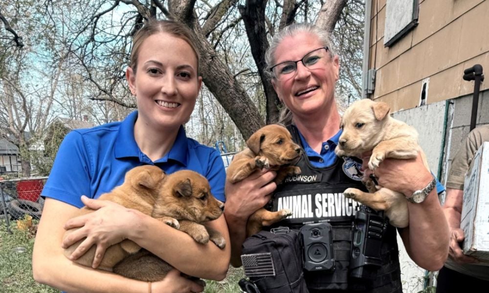 Officers with rescued pups